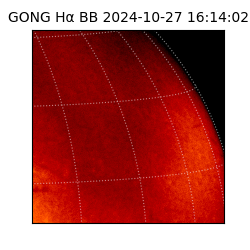 gong - 2024-10-27T16:14:02