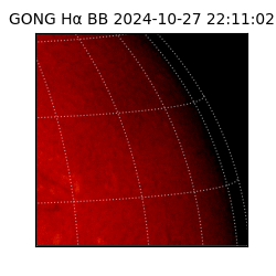 gong - 2024-10-27T22:11:02