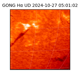 gong - 2024-10-27T05:01:02