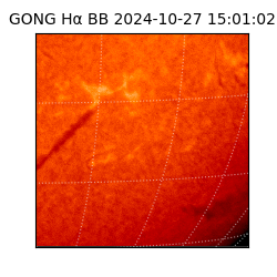 gong - 2024-10-27T15:01:02