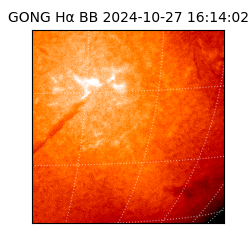 gong - 2024-10-27T16:14:02