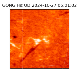 gong - 2024-10-27T05:01:02