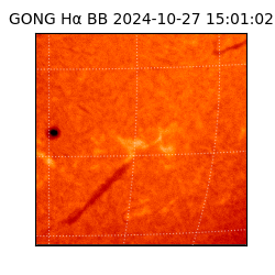 gong - 2024-10-27T15:01:02