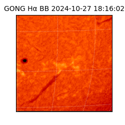 gong - 2024-10-27T18:16:02