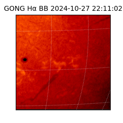 gong - 2024-10-27T22:11:02