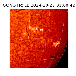 gong - 2024-10-27T01:00:42