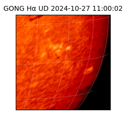 gong - 2024-10-27T11:00:02