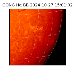 gong - 2024-10-27T15:01:02