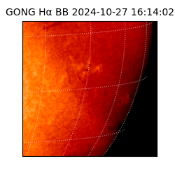 gong - 2024-10-27T16:14:02