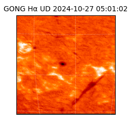 gong - 2024-10-27T05:01:02