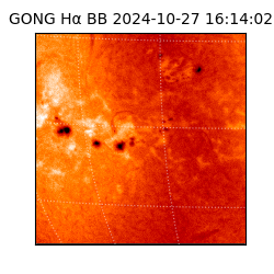 gong - 2024-10-27T16:14:02