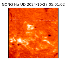 gong - 2024-10-27T05:01:02