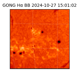 gong - 2024-10-27T15:01:02