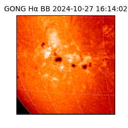 gong - 2024-10-27T16:14:02