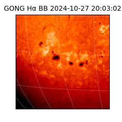 gong - 2024-10-27T20:03:02