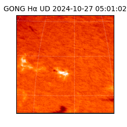 gong - 2024-10-27T05:01:02