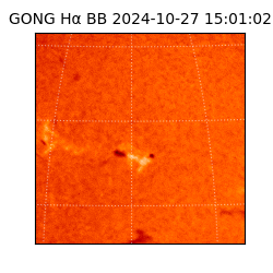 gong - 2024-10-27T15:01:02