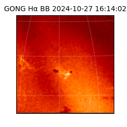 gong - 2024-10-27T16:14:02