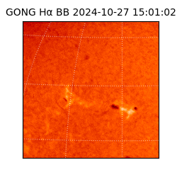 gong - 2024-10-27T15:01:02