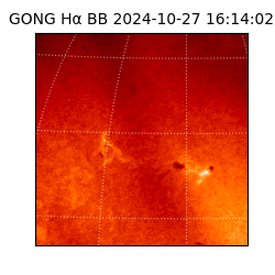 gong - 2024-10-27T16:14:02