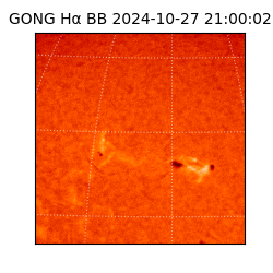 gong - 2024-10-27T21:00:02