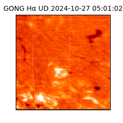 gong - 2024-10-27T05:01:02