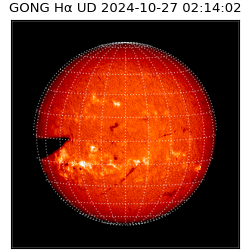 gong - 2024-10-27T02:14:02