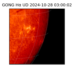 gong - 2024-10-28T03:00:02