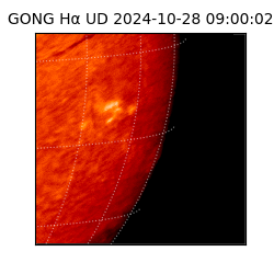 gong - 2024-10-28T09:00:02