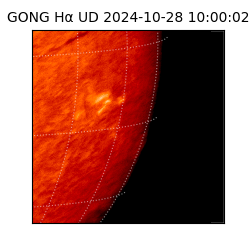 gong - 2024-10-28T10:00:02