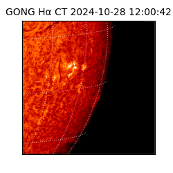 gong - 2024-10-28T12:00:42