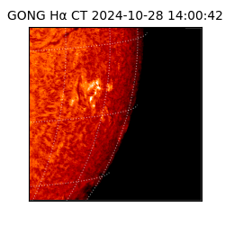 gong - 2024-10-28T14:00:42