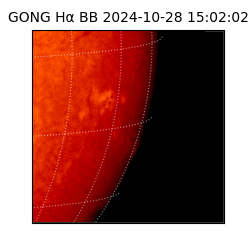 gong - 2024-10-28T15:02:02