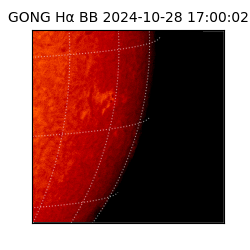 gong - 2024-10-28T17:00:02