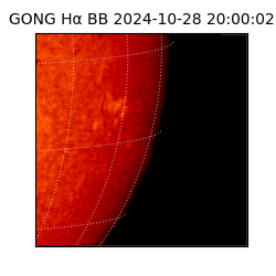 gong - 2024-10-28T20:00:02