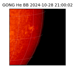 gong - 2024-10-28T21:00:02