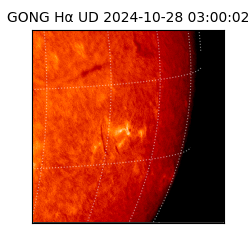 gong - 2024-10-28T03:00:02