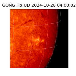 gong - 2024-10-28T04:00:02