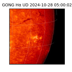 gong - 2024-10-28T05:00:02