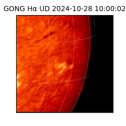 gong - 2024-10-28T10:00:02