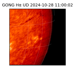 gong - 2024-10-28T11:00:02