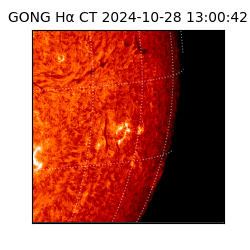 gong - 2024-10-28T13:00:42