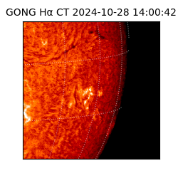 gong - 2024-10-28T14:00:42