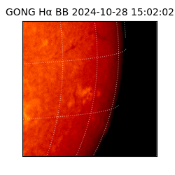 gong - 2024-10-28T15:02:02