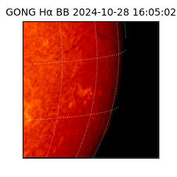 gong - 2024-10-28T16:05:02