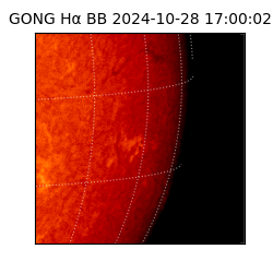 gong - 2024-10-28T17:00:02