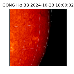 gong - 2024-10-28T18:00:02