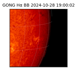 gong - 2024-10-28T19:00:02