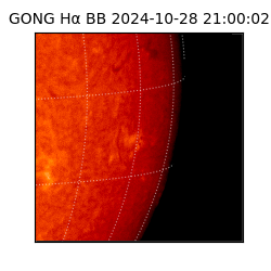 gong - 2024-10-28T21:00:02