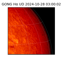 gong - 2024-10-28T03:00:02